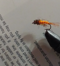 BRUNO ALONSO FLY TYING