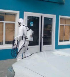 Líder Desinfección