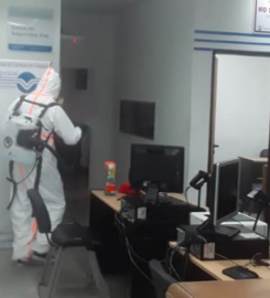 Líder Desinfección