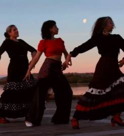 Flamenco en Calafate / Rio Gallegos