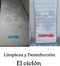 Limpieza y Desinfección El Ciclón